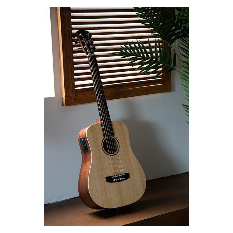 CORT EARTH MINI E ADIRONDACK