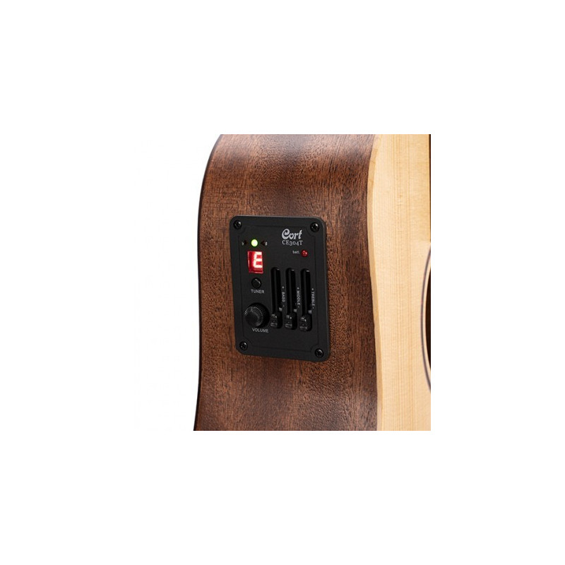 CORT EARTH MINI E ADIRONDACK