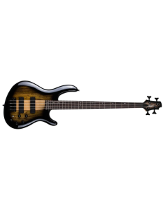 Cort C4 Plus ZBMH TBB