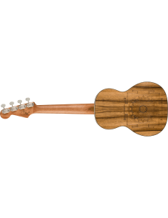 Fender Dhani Harrison Turquoise 2