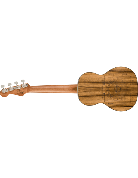 Fender Dhani Harrison Turquoise